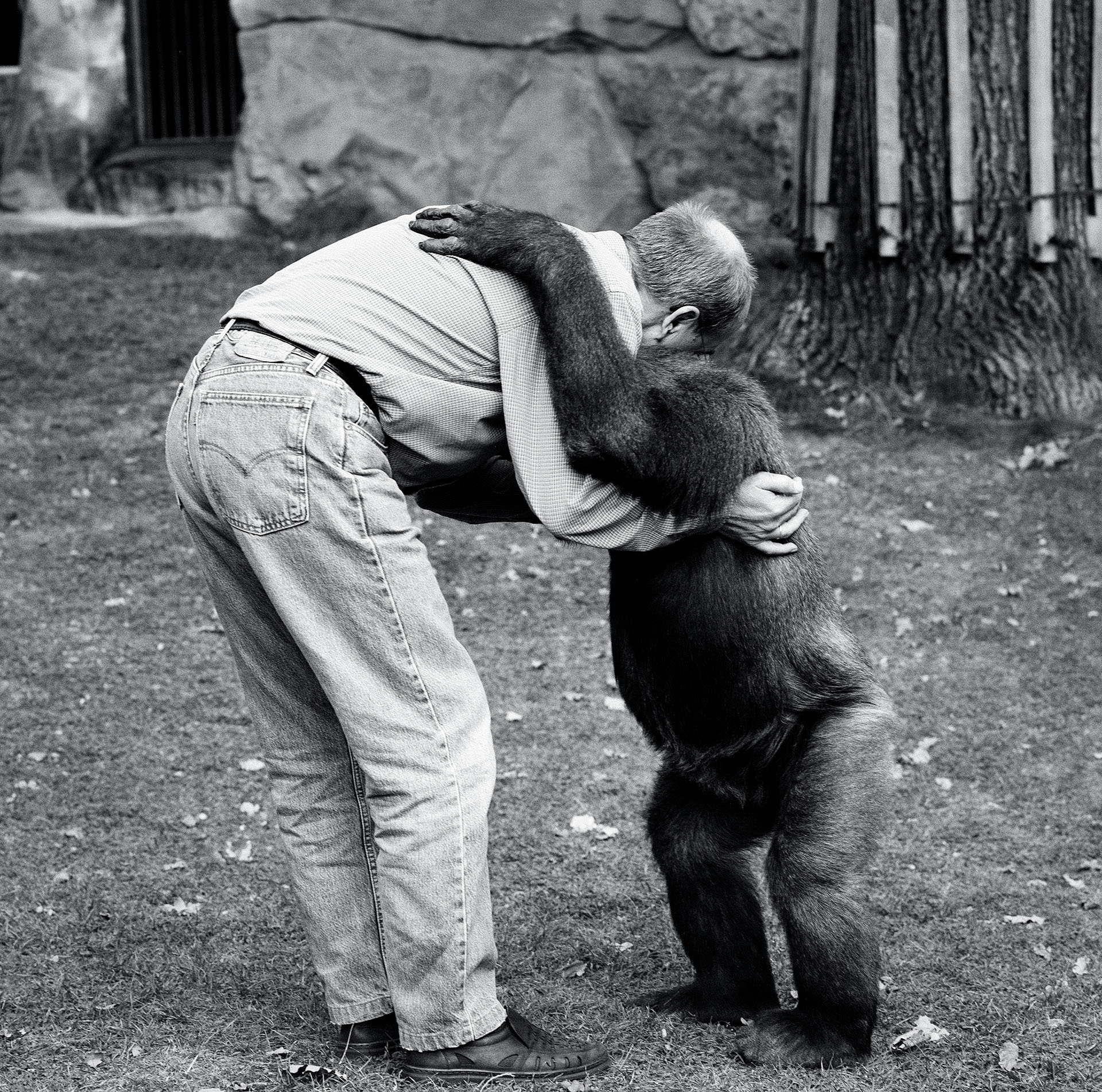 "Grosse Tiere in Berlin" Gregor Gysi