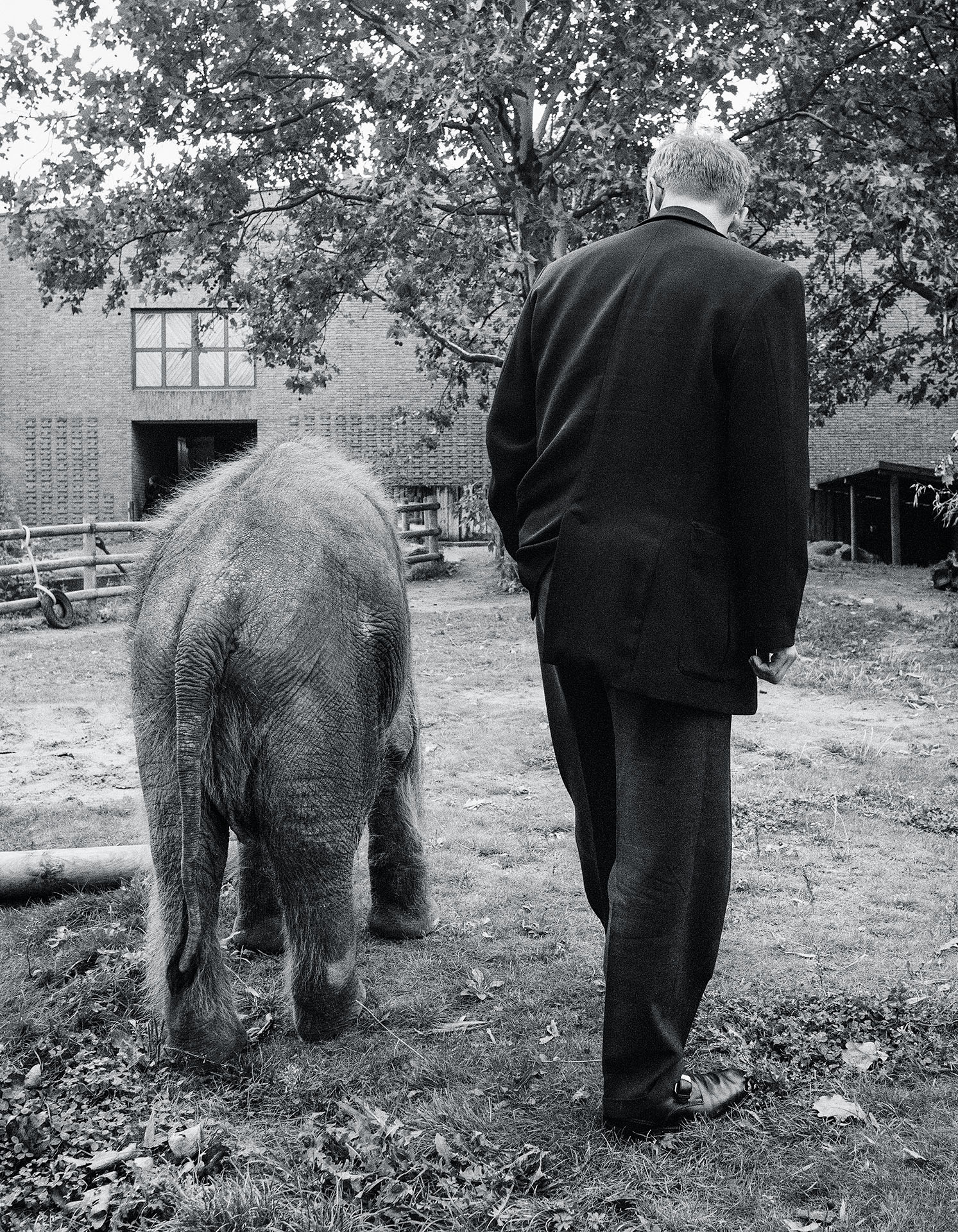 "Grosse Tiere in Berlin" Peter Kurth